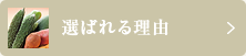 選ばれる理由